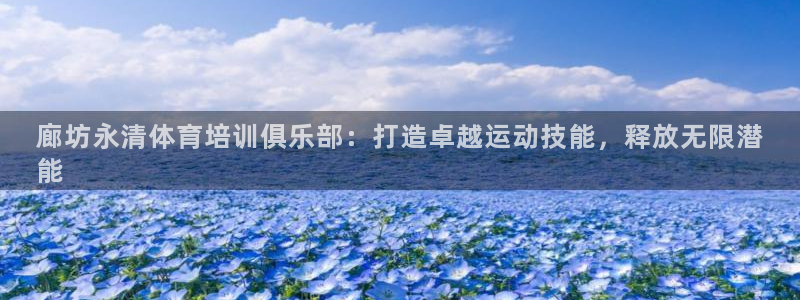 极悦平台是干嘛的啊：廊坊永清体育培训俱乐部：打造卓越