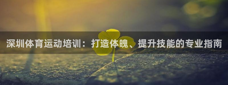 极悦平台股东是谁：深圳体育运动培训：打造体魄、提升技