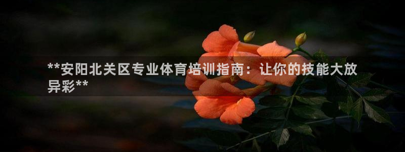 极悦官网登录：**安阳北关区专业体育培训指南：让你的