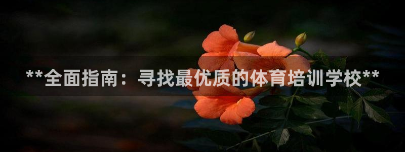 极悦娱乐代理人是谁：**全面指南：寻找最优质的体育培