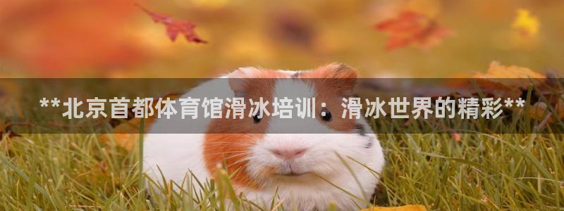 极悦官方网站入口网址是多少：**北京首都体育馆滑冰培