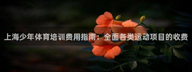 极悦平台是正规平台吗安全吗是真的吗：上海少年体育培训