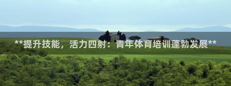 极悦平台登录方式是什么：**提升技能，活力四射：青年