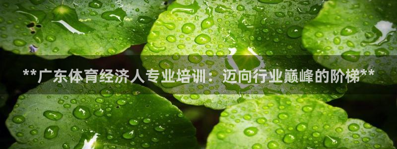 极悦娱乐app官方版本更新内容在哪：**广东体育经济