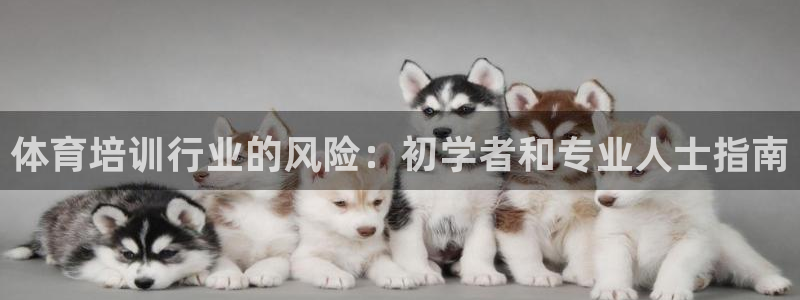 极悦平台注册登录不上：体育培训行业的风险：初学者和专