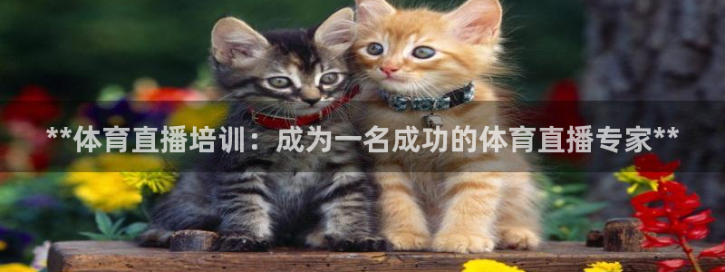 极悦娱乐的背景和历史背景分析：**体育直播培训：成为