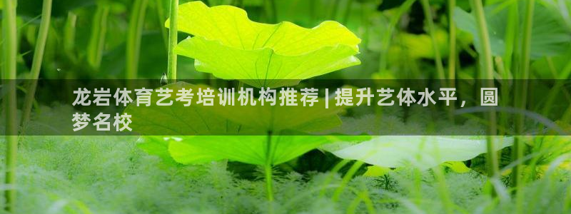 极悦平台注册失败如何解决问题：龙岩体育艺考培训机构推