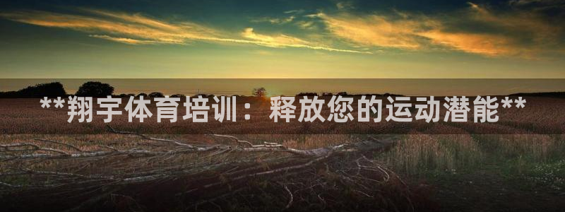 极悦平台集7O777：**翔宇体育培训：释放您的运动