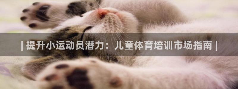 极悦平台是正规平台吗：| 提升小运动员潜力：儿童体育