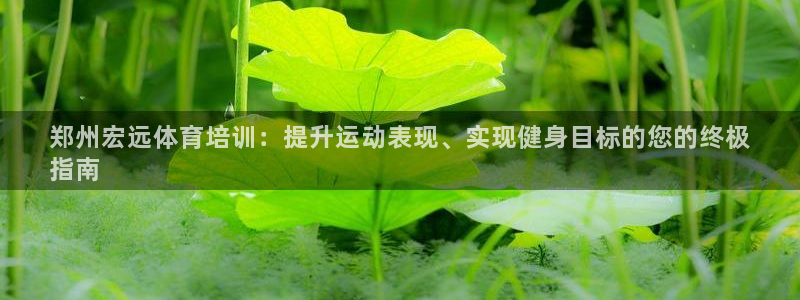 极悦益生菌猫粮怎么样：郑州宏远体育培训：提升运动表现