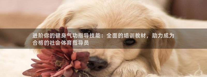 极悦娱乐下载官网安装