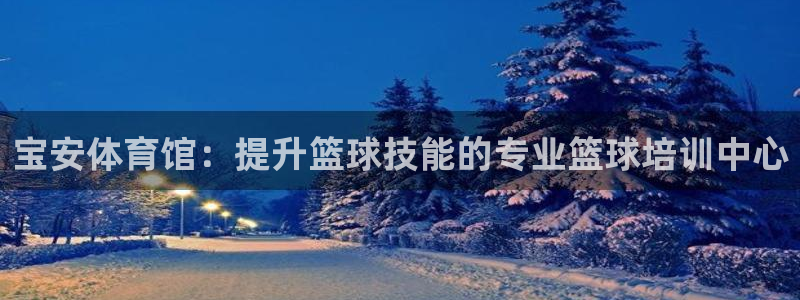 极悦官方网站入口网址是多少：宝安体育馆：提升篮球技能