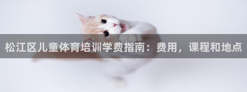 极悦娱乐代理多少钱一个：松江区儿童体育培训学费指南：
