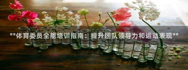极悦平台布7O777：**体育委员全能培训指南：提升