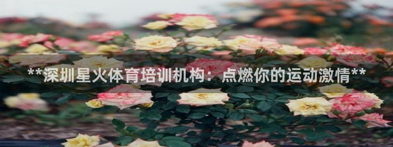 极悦娱乐创始人背景故事简介：**深圳星火体育培训机构