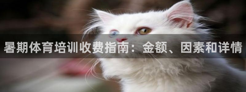 极悦娱乐贴吧百度：暑期体育培训收费指南：金额、因素和
