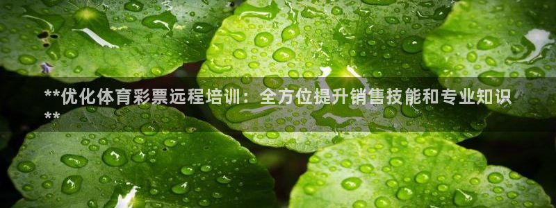 极悦平台app安全吗是真的吗：**优化体育彩票远程培