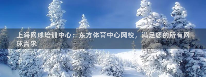 极悦娱乐app官方版本更新内容下载：上海网球培训中心