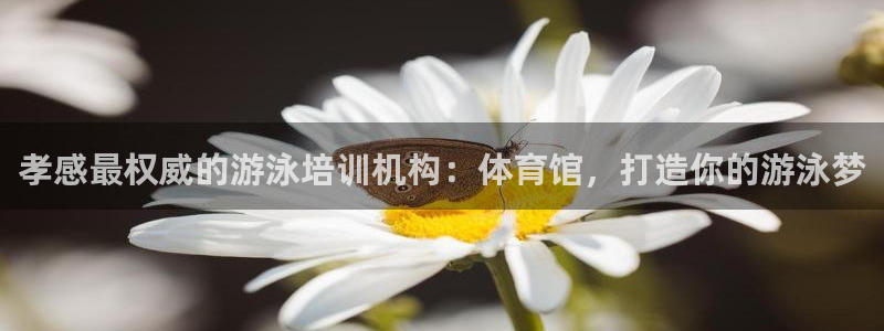 极悦注册：孝感最权威的游泳培训机构：体育馆，打造你的