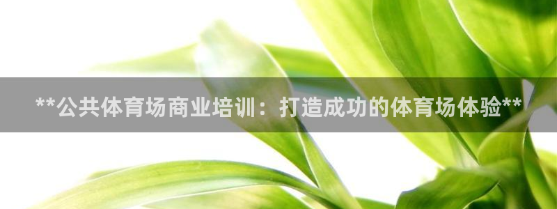 加盟极悦教育怎么样：**公共体育场商业培训：打造成功