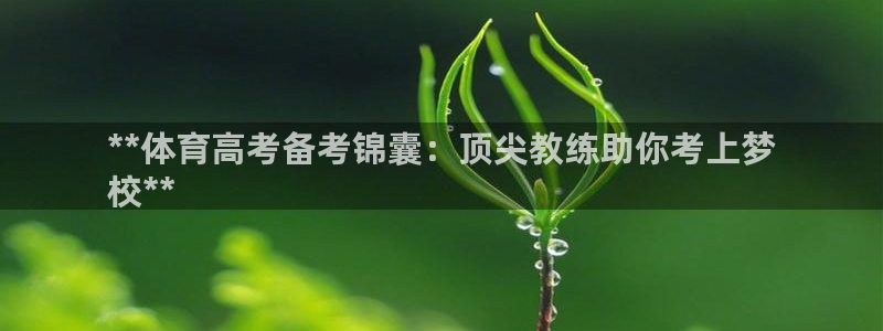 极悦平台注册失败如何解决问题：**体育高考备考锦囊：