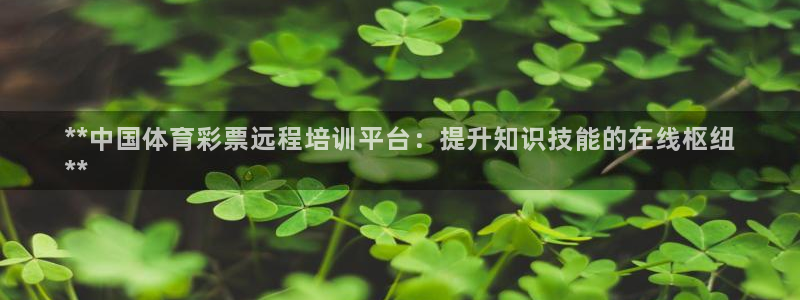 极悦平台代理怎么做赚钱：**中国体育彩票远程培训平台