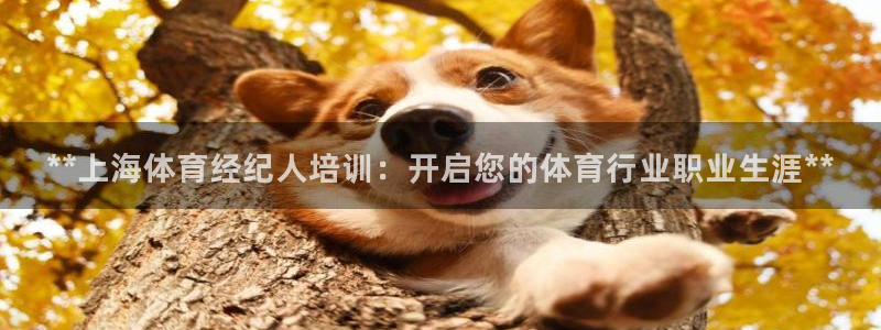 极悦平台注册用户名验证不了：**上海体育经纪人培训：
