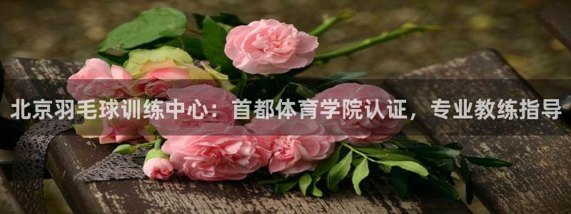 极悦娱乐是资金盘吗：北京羽毛球训练中心：首都体育学院