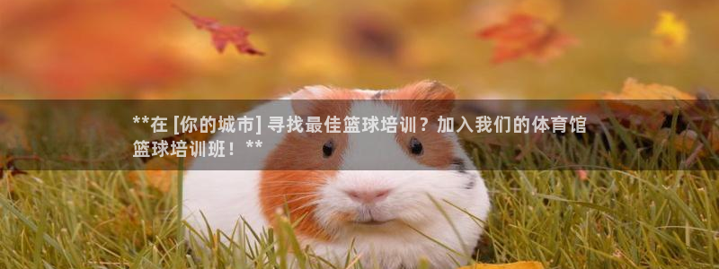极悦娱乐下载官网：**在 [你的城市] 寻找最佳篮球