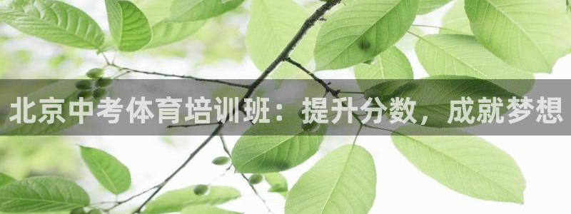 极悦平台和蓝狮平台区别在哪：北京中考体育培训班：提升