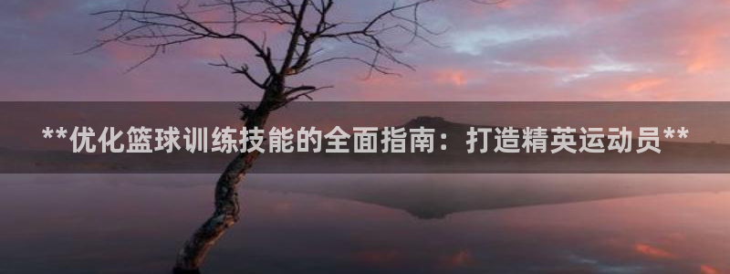 极悦平台官方网站首页入口：**优化篮球训练技能的全面