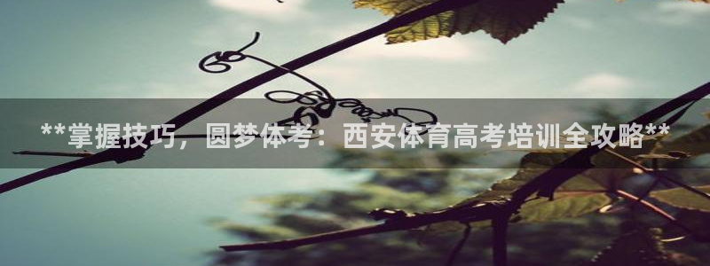 极悦平台注册和登录页面一样吗：**掌握技巧，圆梦体考