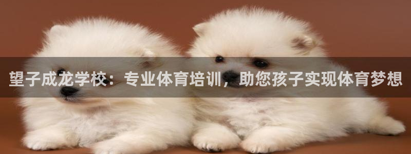 极悦平台注册用户名生成器：望子成龙学校：专业体育培训