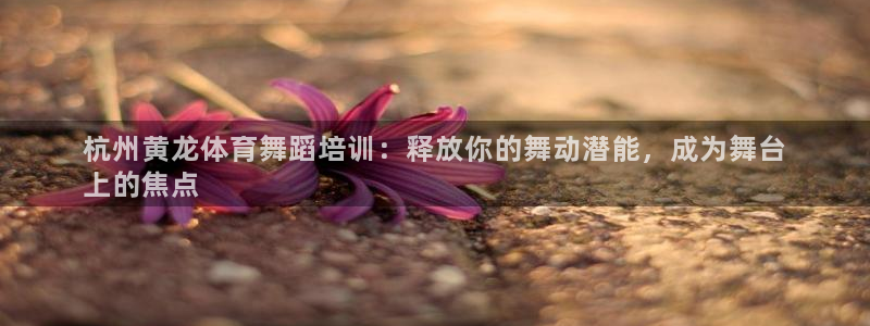 极悦平台德711.112的更新内容：杭州黄龙体育舞蹈
