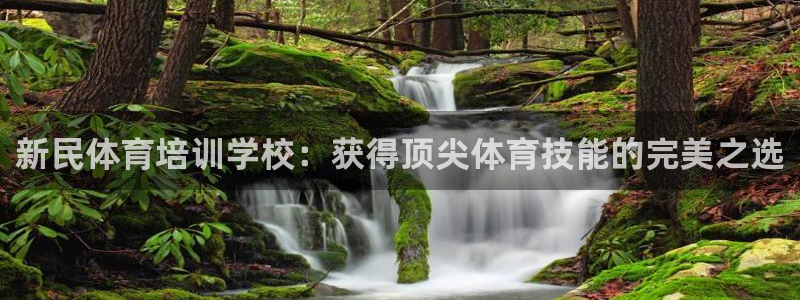 极悦平台是干什么的公司：新民体育培训学校：获得顶尖体