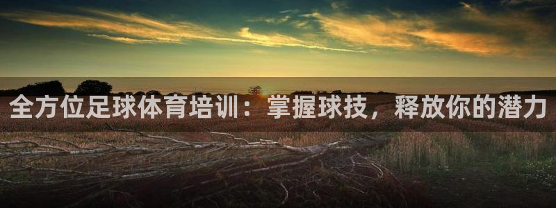 极悦平台好7.0.2.4怎么样：全方位足球体育培训：