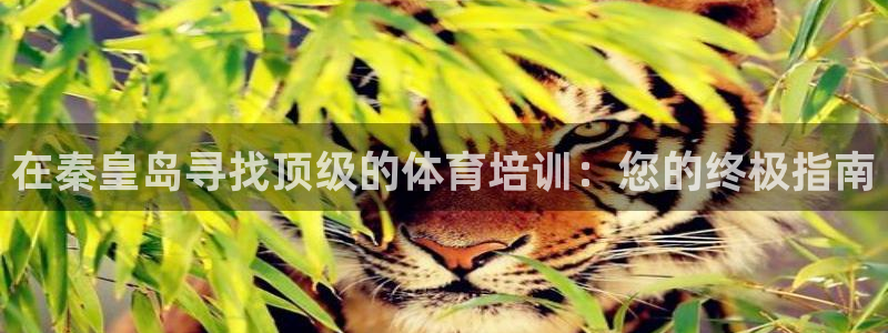 极悦平台注册用户名格式是什么：在秦皇岛寻找顶级的体育