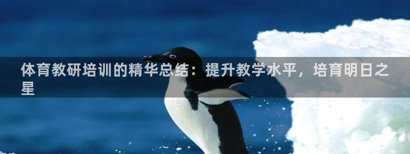 极悦平台股东有哪些：体育教研培训的精华总结：提升教学