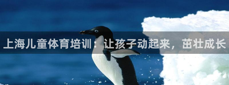 极悦平台登录入口注册：上海儿童体育培训：让孩子动起来