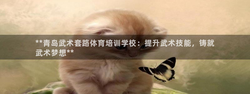 极悦平台注册流程详解图片：**青岛武术套路体育培训学