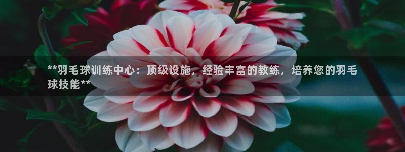 极悦平台是干嘛的软件：**羽毛球训练中心：顶级设施，