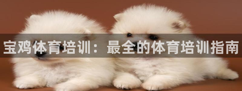 极悦平台注册申请流程详解图片：宝鸡体育培训：最全的体