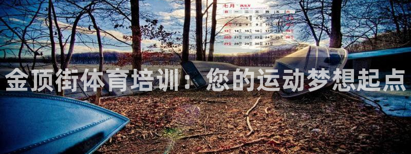 极悦平台很7O777：金顶街体育培训：您的运动梦想起