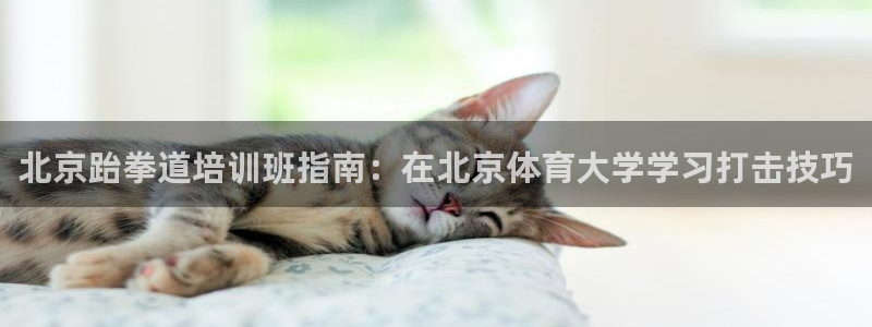 极悦娱乐app官方版本更新内容在哪：北京跆拳道培训班