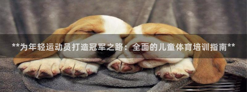 极悦娱乐负责人：**为年轻运动员打造冠军之路：全面的