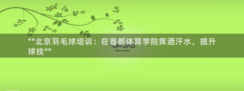 极悦平台登录不进去怎么回事呢：**北京羽毛球培训：在