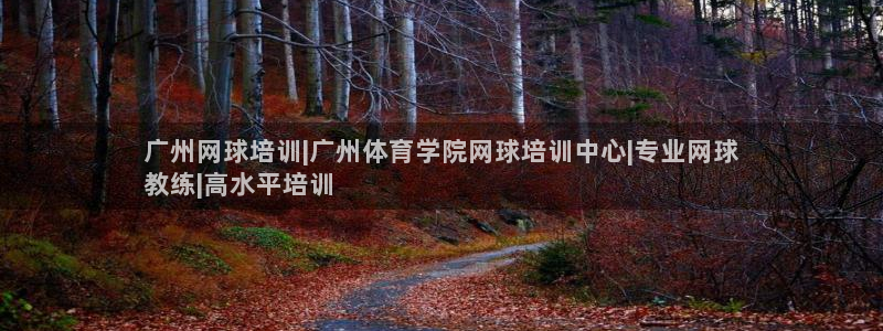 极悦平台是干什么的软件：广州网球培训|广州体育学院网