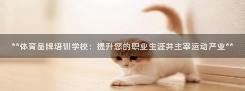 极悦平台登录入口注册账号：**体育品牌培训学校：提升