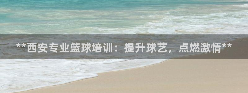 极悦娱乐股东结构：**西安专业篮球培训：提升球艺，点
