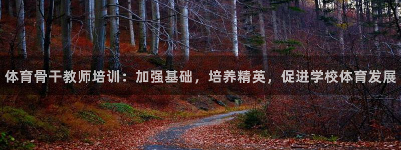 极悦平台注册申请流程详解：体育骨干教师培训：加强基础